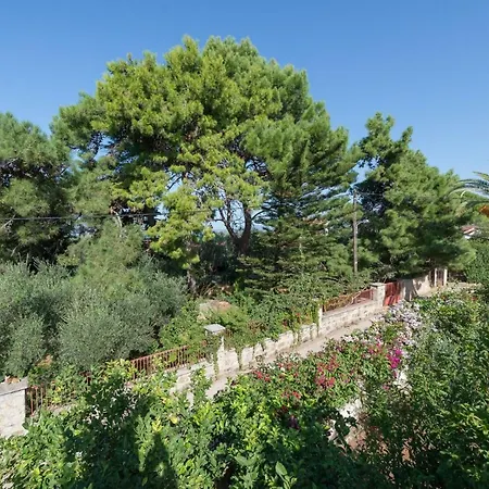 Daphne Argostoli (Kefalonia)