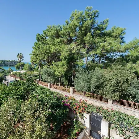 Feriehus Daphne Argostoli (Kefalonia)